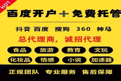 某电商平台的SEM广告投放全流程解析